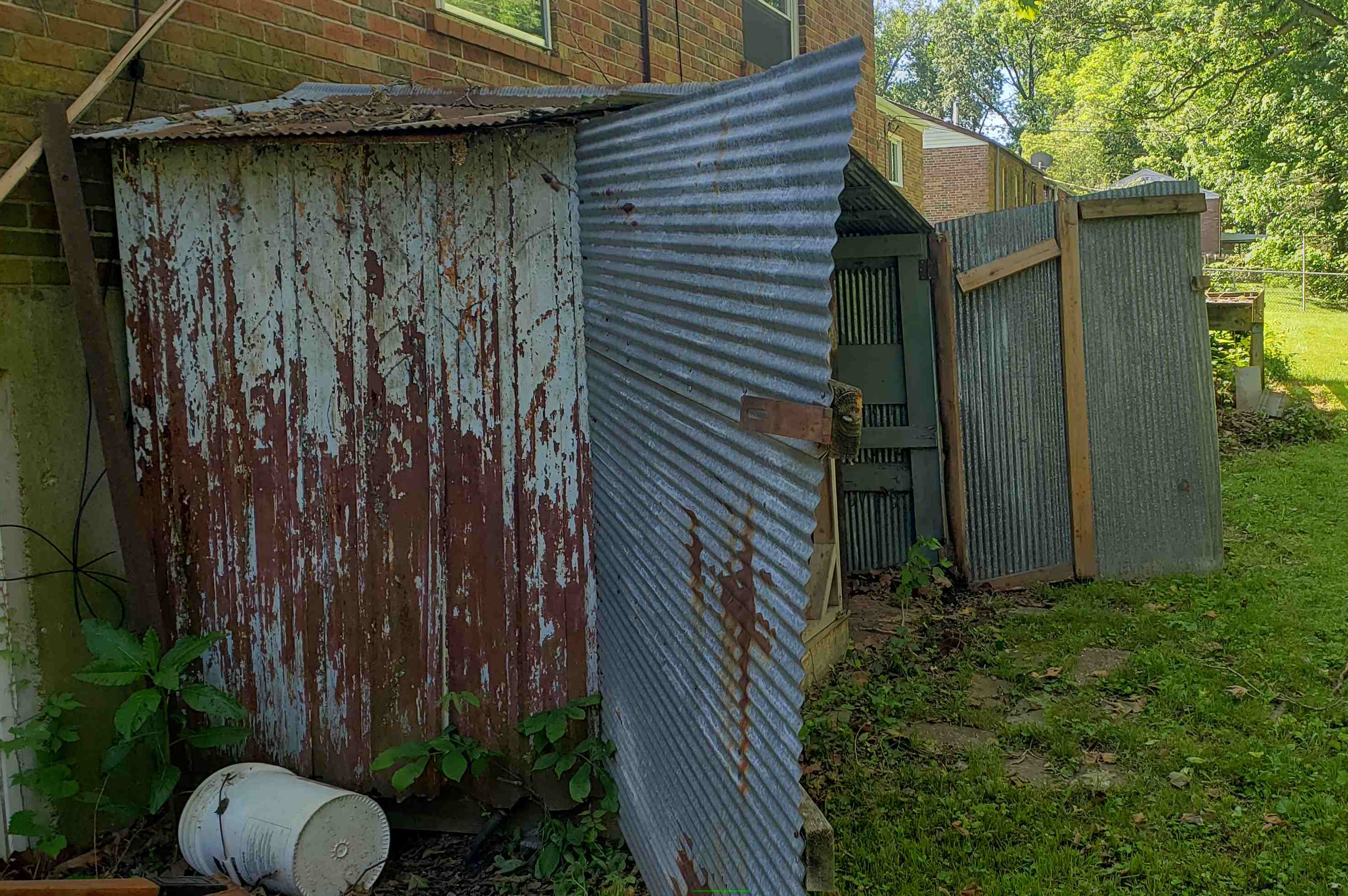 2020-05-30 Kenyon Shed Before.jpg
